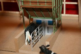 IMG_2549.JPG